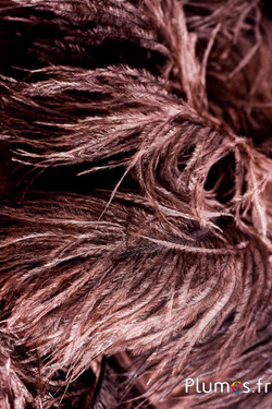 Autruche - 30-40 cm - gris naturel-chocolat